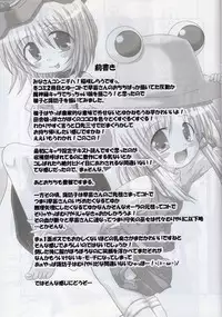 (C73) [Schwester (Shirau Inasaki) Rollin 28 (Touhou Project)