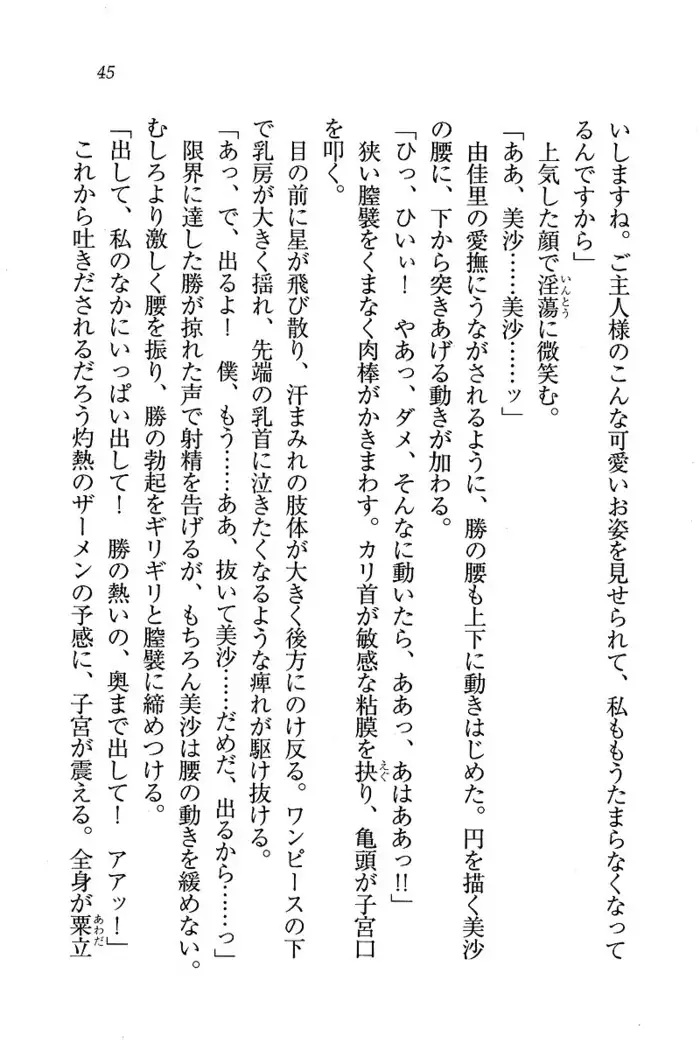 メイドなります ! ~おしおき