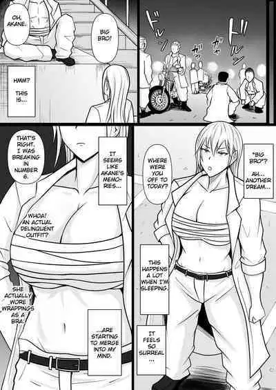 Class no Yankee Joshi ni Hyoui 2 | I Possessed the Class Yankee Girl 2