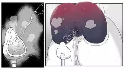 jidō ningyō meikyū tansaki | Maze exploration record of an automaton