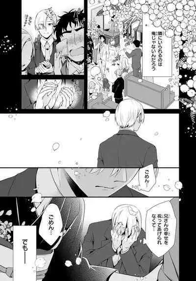 Ani o Yome ni Metorimasu ～ Kondo wa Tebanasanai ～ R18 Edition Vol. 1-4