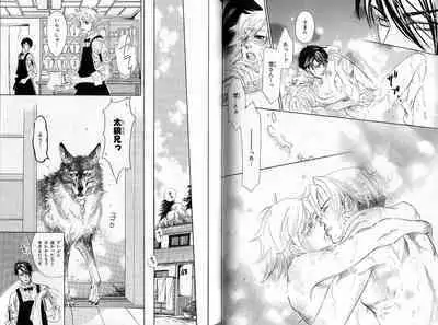 B-BOY Zips 35 スウィートホーム特集