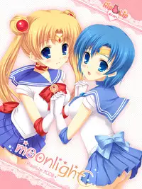 (SC40) [Rip@Lip (Mizuhara Yuu)] moonlight (Sailor Moon)