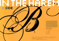 (C81) [Shoujo Kishidan (Oyari Ashito)] IN THE HAREM B SIDE (THE iDOLM@STER) [English]