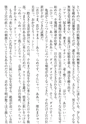 年上メイドの新婚日記