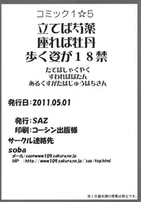 (COMIC1☆5) [SAZ (soba)] Tateba Shakuyaku Suwareba Botan Aruku Sugata wa 18kin (Toaru Majutsu no Index)