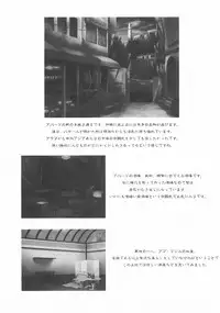 (Puniket 12) [Gin no Hoshitei (Tamiya Akito)] Chained Valkyria ～hakusha no tsuioku～ fuu no zan kage