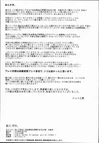 (C90) [Nyuu Koubou (Nyuu)] Oidemase!! Jiyuu Fuuzoku Gensoukyou 2-haku 3-kka no Tabi Minaduki (Touhou Project)