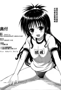 (C88) [KURUBUSI-KAI (Dowarukofu)] Onii-chan to Issho (To LOVE-Ru) [Chinese] [脸肿汉化组]