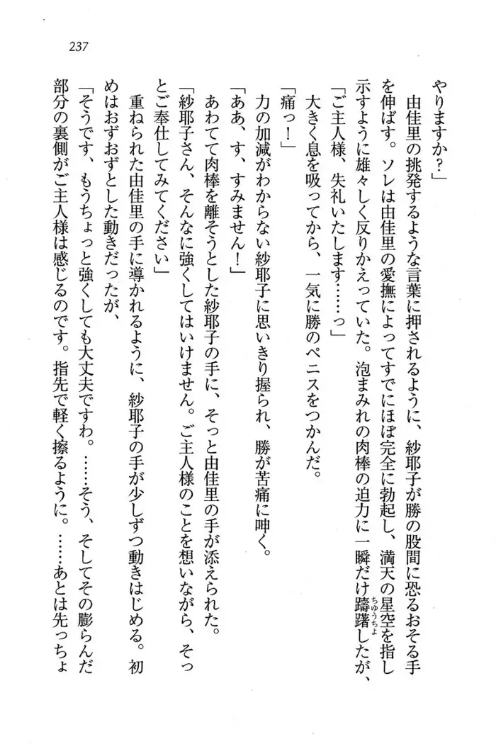 メイドなります ! ~おしおき