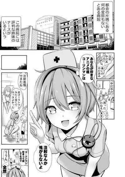 Haitokukan Han Komeiji Nurse no Echi Echi Kango Nisshi