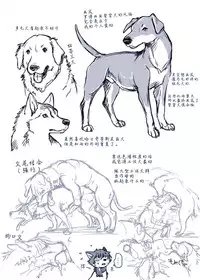 [Souko Souji] Aru Inu no Baai | 某只狗的视角 (Ookami Kodomo no Ame to Yuki) [Chinese] [新桥月白日语社]