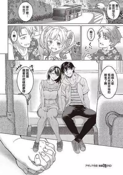 Azalea no Koi