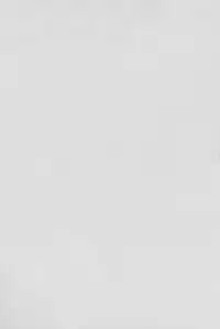 (C88) [my pace world (Kabocha Torte)] Yoiyami ni Nureru Hana (Pokémon Black and White) [English] [EHCOVE]