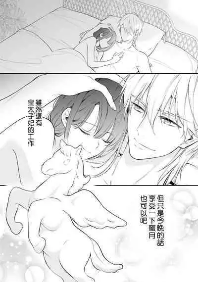isekai de migawarihime ninari haou ni ubawaremashita | 在异世界成为了替身公主被霸王掳走了 1-12 end