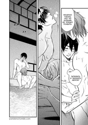 Better than Mackerel