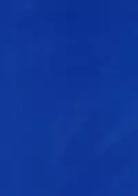 (SC2018 Spring) [Yamaguchi Print (Tamaki Yayoi)] Jeanne Onee-chan o Mama ni Suru Hon (Fate/Grand Order) [Chinese] [有毒気漢化組]