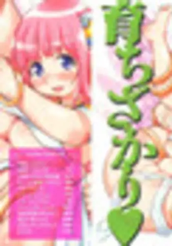近所のお姉ちゃんとおるすばん