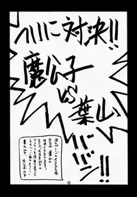 (Mimiket 3) [Red Ribbon Revenger (Various)] Elf's Ear Book 04 - Kuro no Taikai (Star Ocean 2)