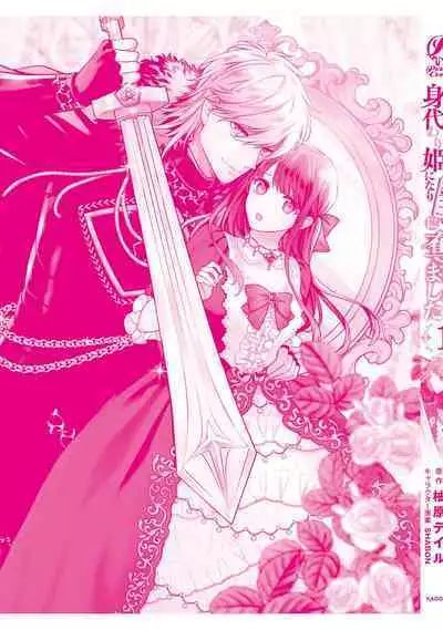 isekai de migawarihime ninari haou ni ubawaremashita | 在异世界成为了替身公主被霸王掳走了 1-12 end