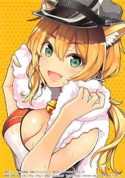 (C97) [Newton no Ringo (Inuzumi Masaki)] N,s A COLORS #11 (Kantai Collection -KanColle)