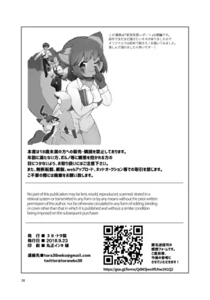 Transformation Guidance Report