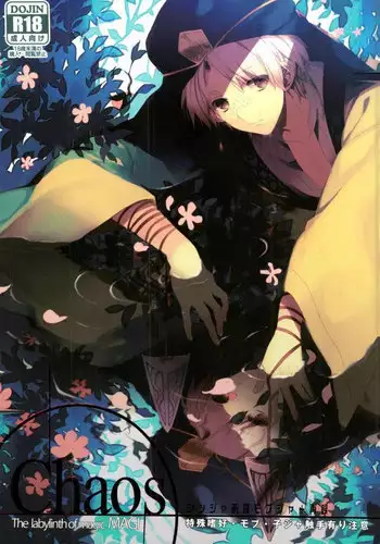 (SUPER22) [OPT (Hoshino Kabi)] Chaos (Magi: The Labyrinth of Magic)
