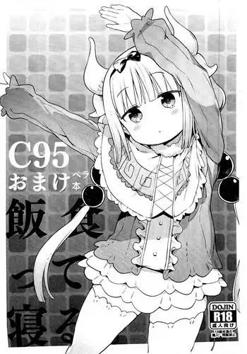 C95配布コピー誌