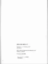 (Ou no Utsuwa Grail Oath) [Fiesole (Bekkou Megane Buchiko)] Yozora no Hoshi no Manten no shita (Fate/Grand Order)