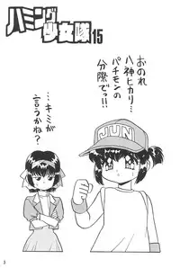 (C58) [Chawanmushi (Ouu Rei)] Humming Shoujo-tai 15 (Various)