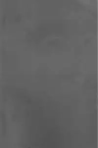 (Ginban no glory 0.5) [Hitobankoneko (Nanatsu Nemu)] Kin Neko Patience (Yuri on Ice) [English] [constantly