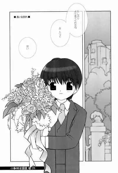 little animal kingdom part III