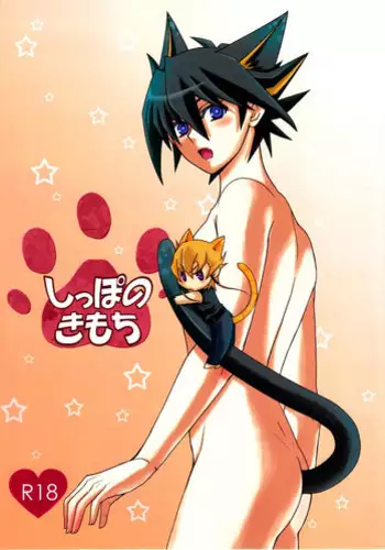 (C78) [Soushinbako @YGO! (Nakami Yukitaka)] Feeling of the Tail (Yu-Gi-Oh! 5D's)