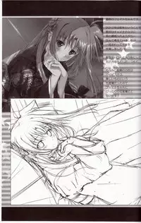 (C81) [IV VA SHIN (Mikuni Mizuki)] Home Sweet Home ~Fate hen 2~ (Mahou Shoujo Lyrical Nanoha)