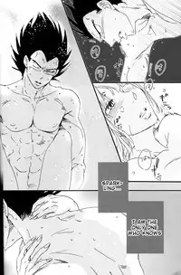 (C82) [Hatarakimasen.. (Oniyuri)] The drop of moonlight (Dragon Ball Z) [English] [something or nothing scans]