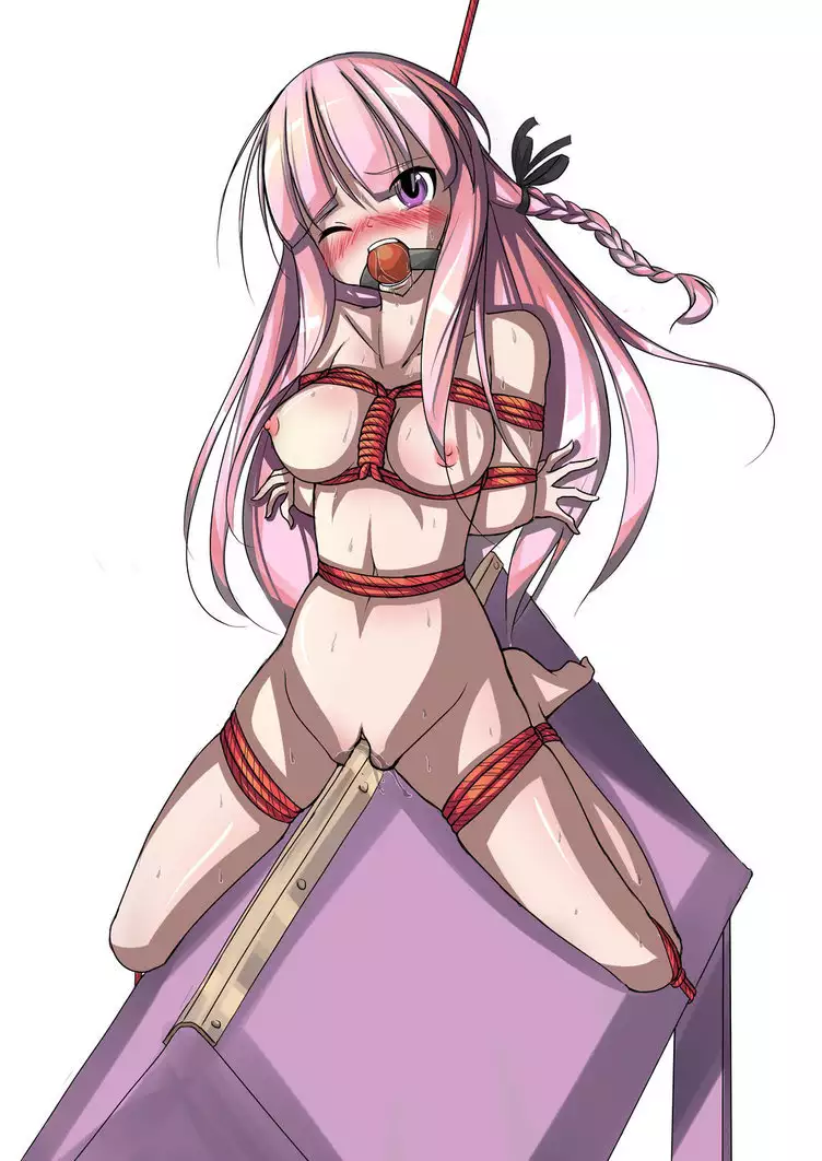 Rimutsutaka Collection