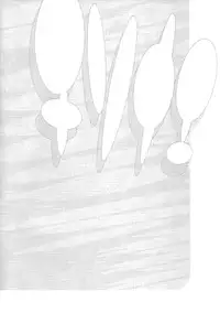 (C79) [MGW (Isou Doubaku)] Chisonae SSS ver1.0 (Amagami)