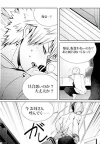 (C92) [APOLLO (JIRO)] My Hero Collection! (Boku no Hero Academia)