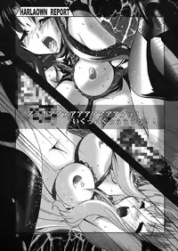 (C73) [WARP LOOP (45ACP)] HARLAOWN REPORT (Mahou Shoujo Lyrical Nanoha)