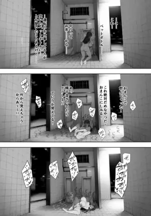 Aisai, dōi no ue, netorare roshutsu