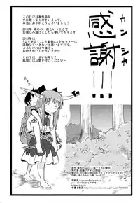 (C83) [Fugodoku (Katou Fuguo)] SURUDAKE Go. (Touhou Project)