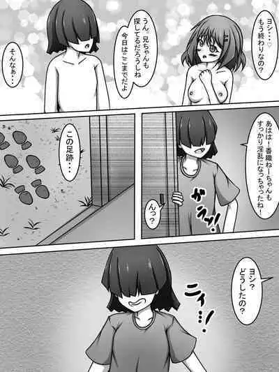 Brother! You can take a peek! Summary book | Niichan! nozoitete iiyo! matome hon