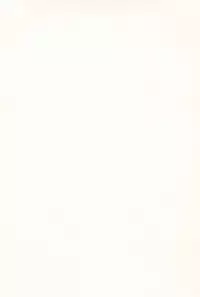 (C93) [EX35 (Kamaboko RED)] Denki no Chikaratte Sugee! (Bakusou Kyoudai Let's & Go!!) [Chinese] [罗洁爱儿个人汉化]