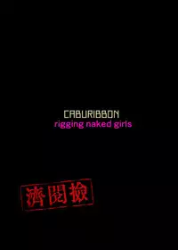 Junsui Gisou Seinou Shiken Ninmu