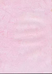 (SC41) [Nagasaki-inter (Sou Akiko)] TOUHOU REC. (Touhou Project)