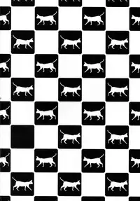 (C78) [Mousou Meteoroid (ricchy)] Neko no inu ma ni Nezumi wa Odoru (Bakemonogatari)