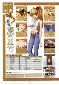 [CandySoft] Nee, Chan to Shiyou yo! Koushiki Fanbook - Ai to Batou no Hibi