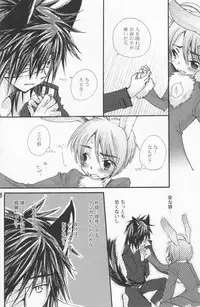 (Shota Scratch 2) [Rorororomo (Various)] Shounen Iro Zukan 4 ~Kemono no Mimi~