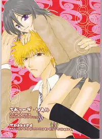 [TRANCEG (Tokugawa Miyo)] Lovers' Soul (Bleach)