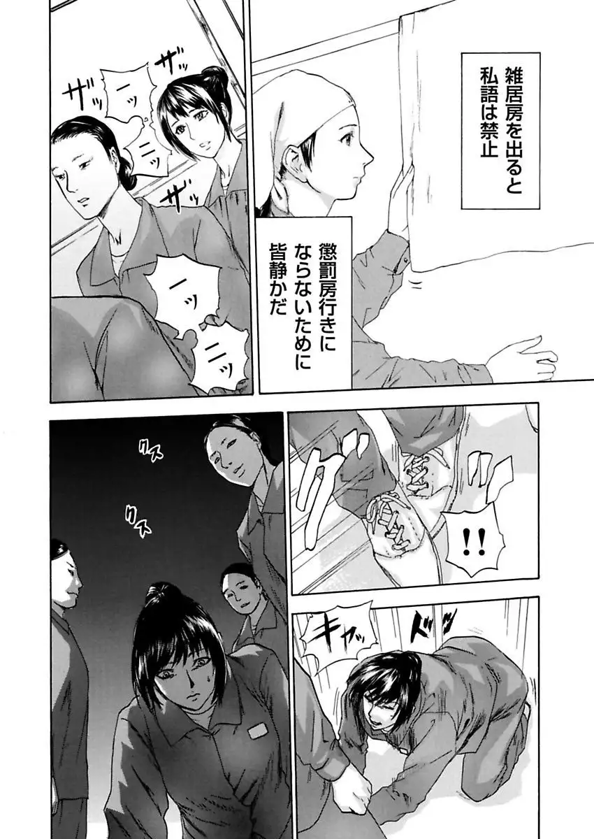 絶望妻~不倫禁止!!